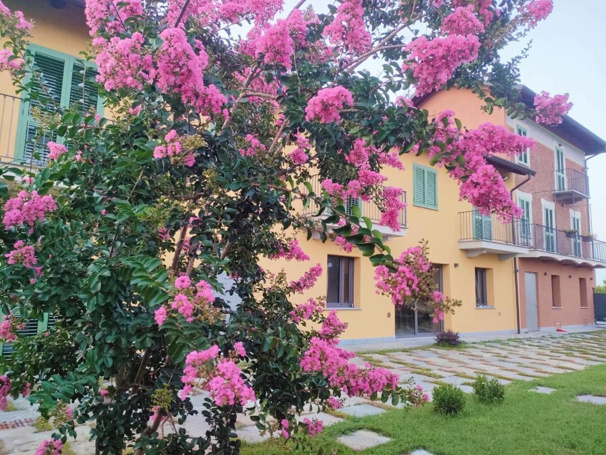 Villa Albina La Loggia エクステリア 写真