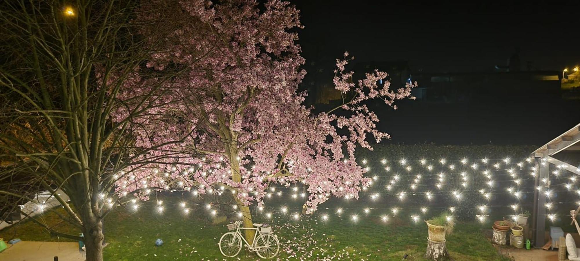 Villa Albina La Loggia エクステリア 写真
