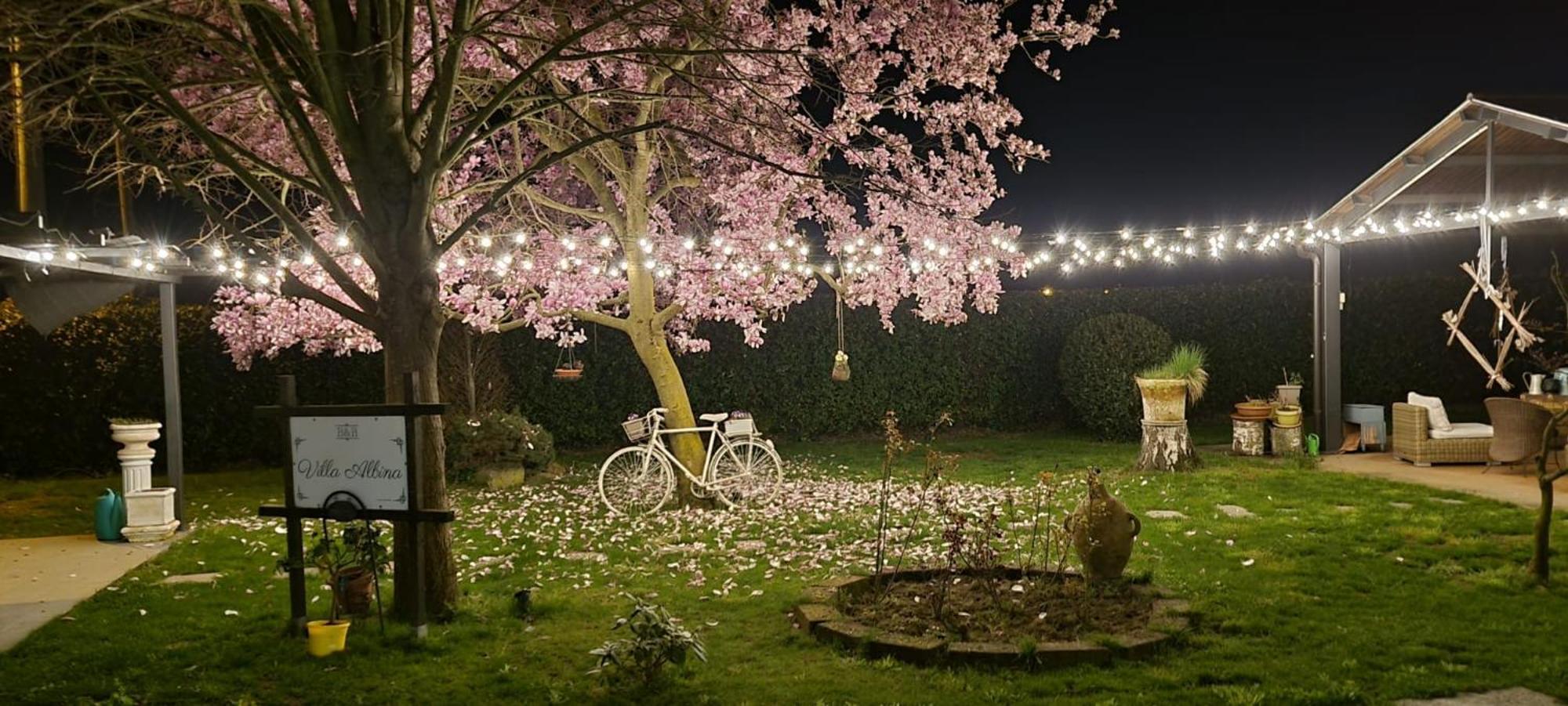 Villa Albina La Loggia エクステリア 写真
