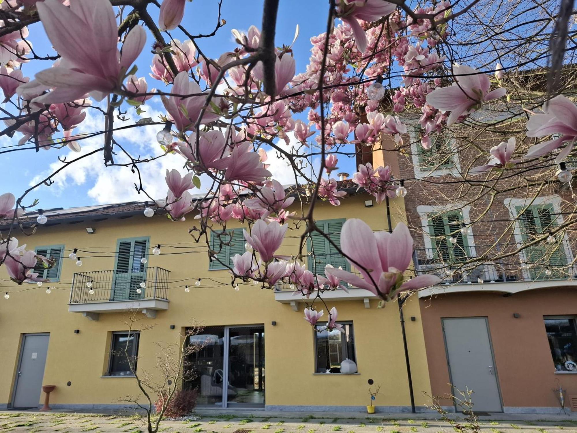 Villa Albina La Loggia エクステリア 写真