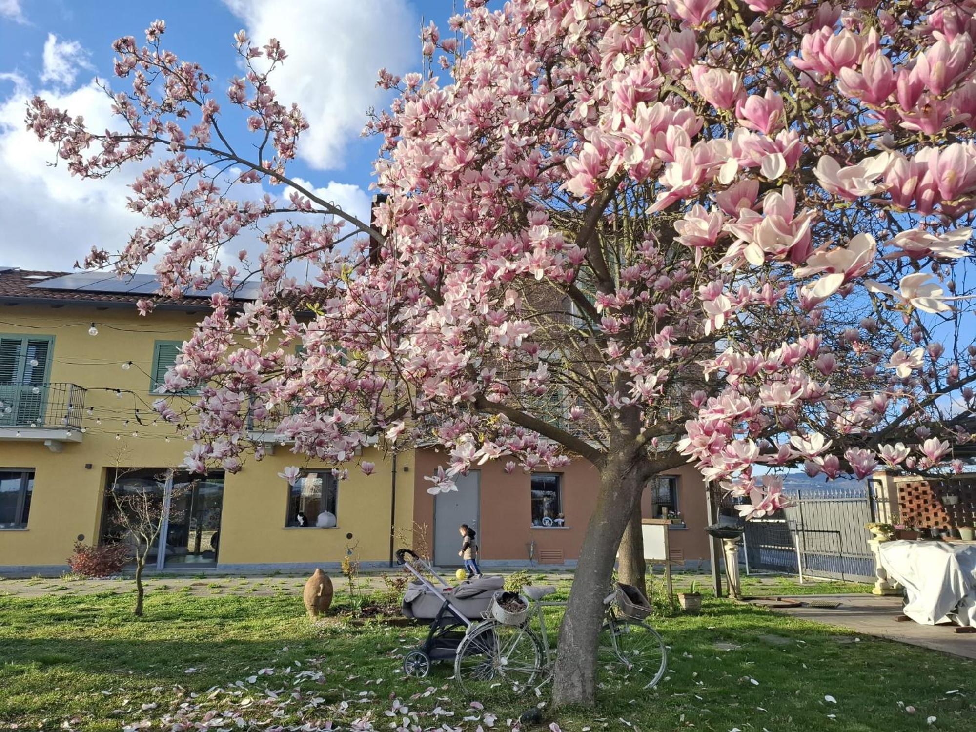 Villa Albina La Loggia エクステリア 写真